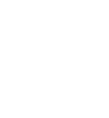 DR. Mohamed Abd Elhamid​